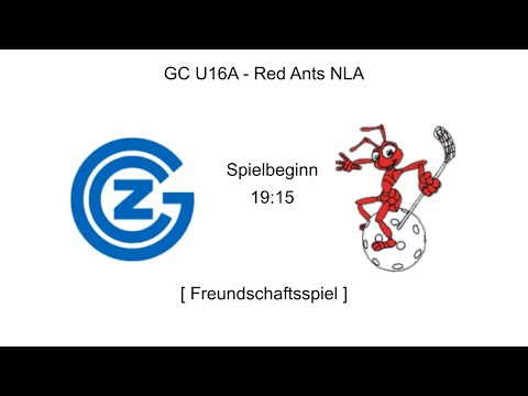 FS, GC U16A - RedAnts NLA
