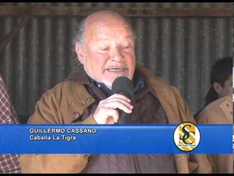 GUILERMO CASSANO - La Tigra - La Colonia Nueva - Daniel Blanco y Cía. S.A. - Tornquist - 05/09/2013