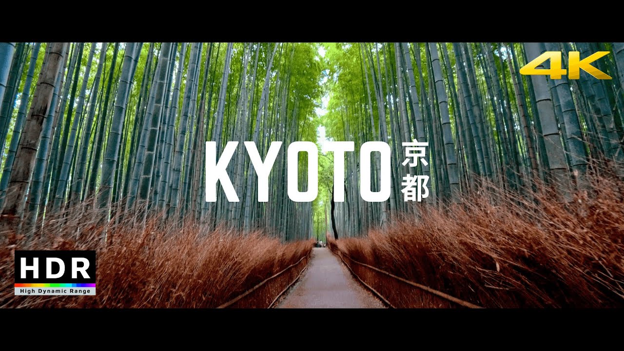 Experience the cinematic visuals of Arashiyama's enchanting Bamboo Forest!
