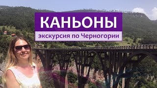 Рыбалка в черногории на реке тара