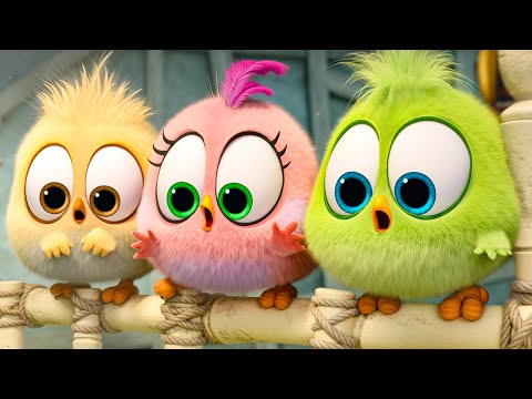 The Baby Birds Steal The Eggs In ANGRY BIRDS 2 & More Awesome Movie Scenes!