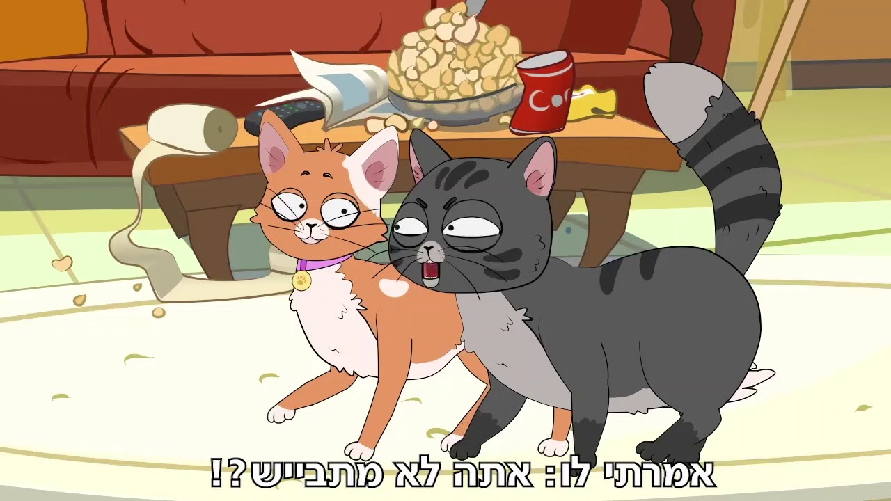 שרותים לחתולים