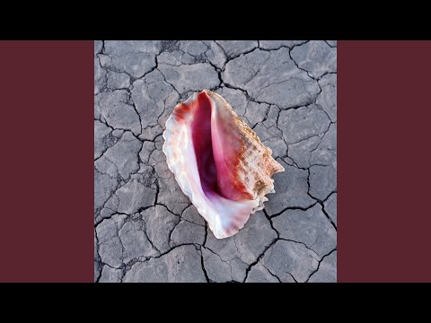 Videoclip de Money On Straight — The Killers