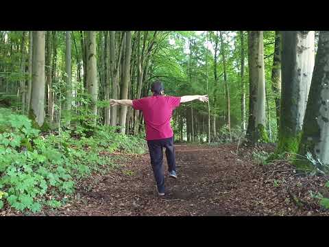 Qigong "The Game of the 5 Wonder Animals" 5. "The Crane"