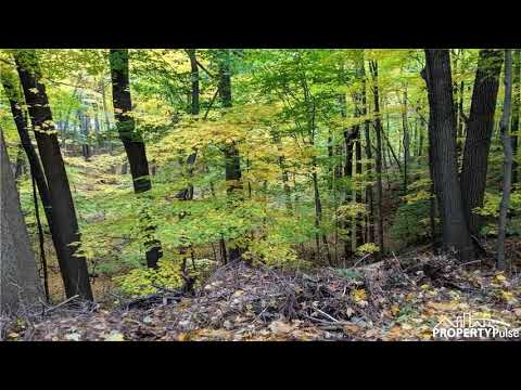 511 Drumm Road, Webster, NY 14580