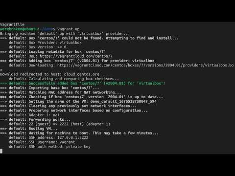 Video