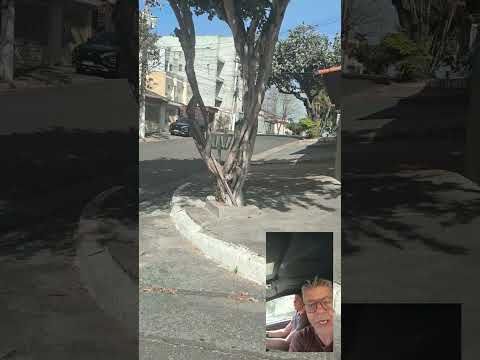Percurso da prova prática do DETRAN Praça Mariápolis Vila Guilhermina SP ZL... 