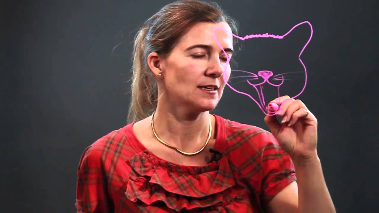 How to Draw a Cat Yawning