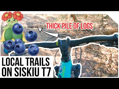 Ms Blueberry Trail 🚧 GETS DANGEROUS Allaire State Park, NJ Hero 7