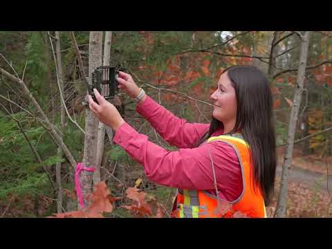 Distinguished Merit Award: Outstanding Regulatory Delivery For The Near Surface Disposal Facility