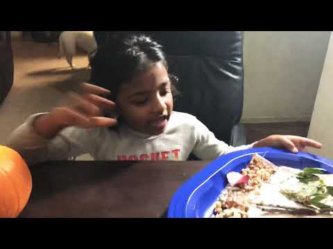 Fall season - project by Vidula