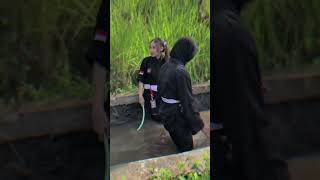 Download lagu STORY WA || srikandi, psht, ikspi, tapak suci, pagar nusa, pshw mp3