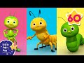 Bugs Bugs Bugs Bugs Nursery Rhymes And Kids Songs Little Baby Bum Animal For Kids