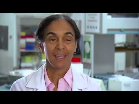 Effects of sugar on a rats brain