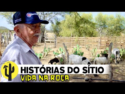 [LIFE IN THE COUNTRYSIDE] Ageu and Marinaldo told several stories about that place and those peop...