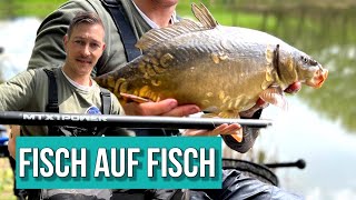 Überraschung beim angeln😱 Kopfrute und Method Feeder 🎣