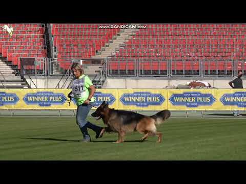 1511 Magic Christmas von der wilden - TSB BSZS-2023