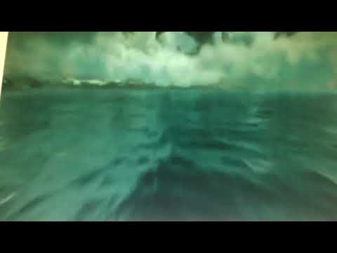 The SharkBob SharkPants Movie Trailer