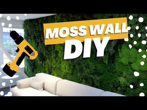 Get a MOSS WALL in your home!