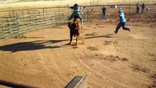 preview picture of video 'Bull Riding'