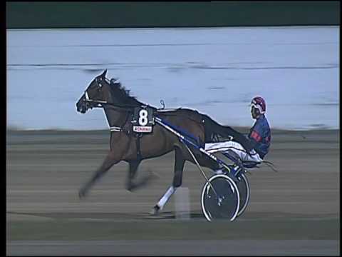 Trotto 23/07/2016 - 2° corsa