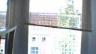 Pelican - Winds with Hands