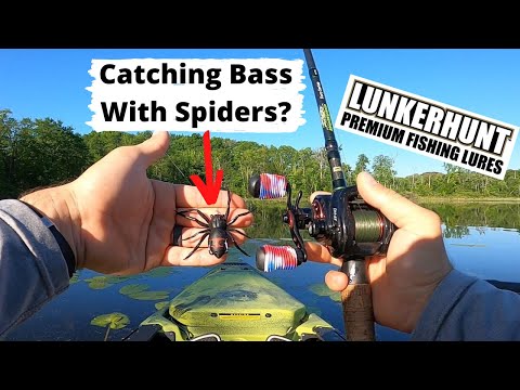 Bass LOVE The Lunkerhunt Phantom Spider!