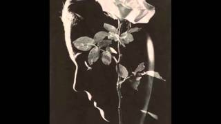 Camera Obscura - Desire Lines