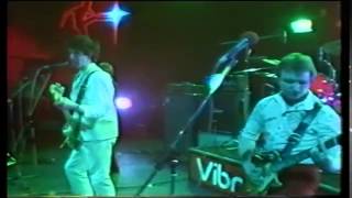 the vibrators on old grey