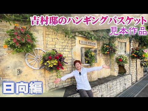 パールバスケット 植物