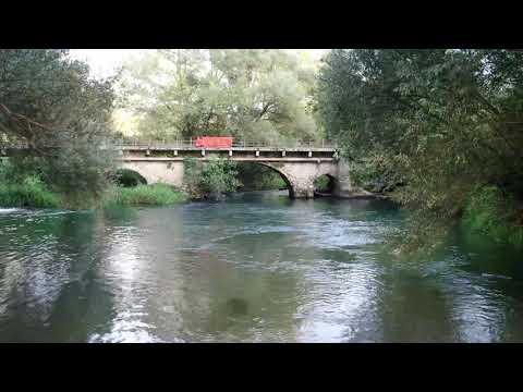 anticoli corrado 2019