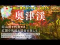 奥津渓 紅葉真っ盛り u0026 夜のライトアップ 岡山観光ファイル