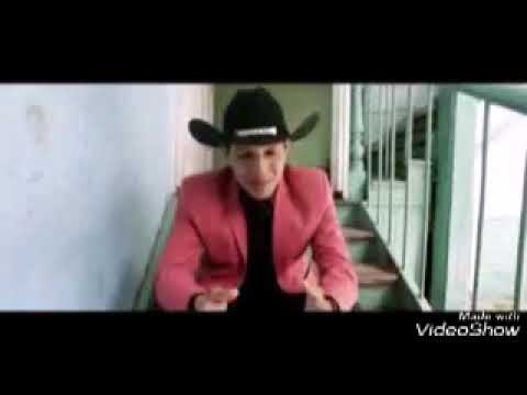 el pollito de barinas - danielito hernandez- entre tu amor y la fama lo nuevo