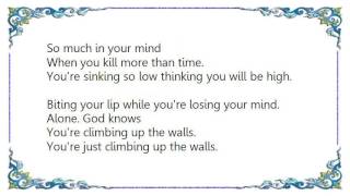 Chris Cornell - Climbing Up the Walls Lyrics