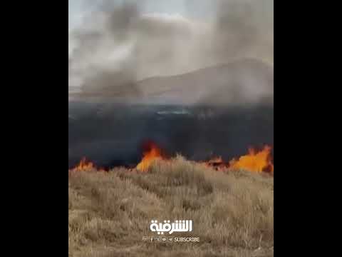شاهد بالفيديو.. حريق يلتهم أراضي زراعية شاسعة في إقليم كردستان