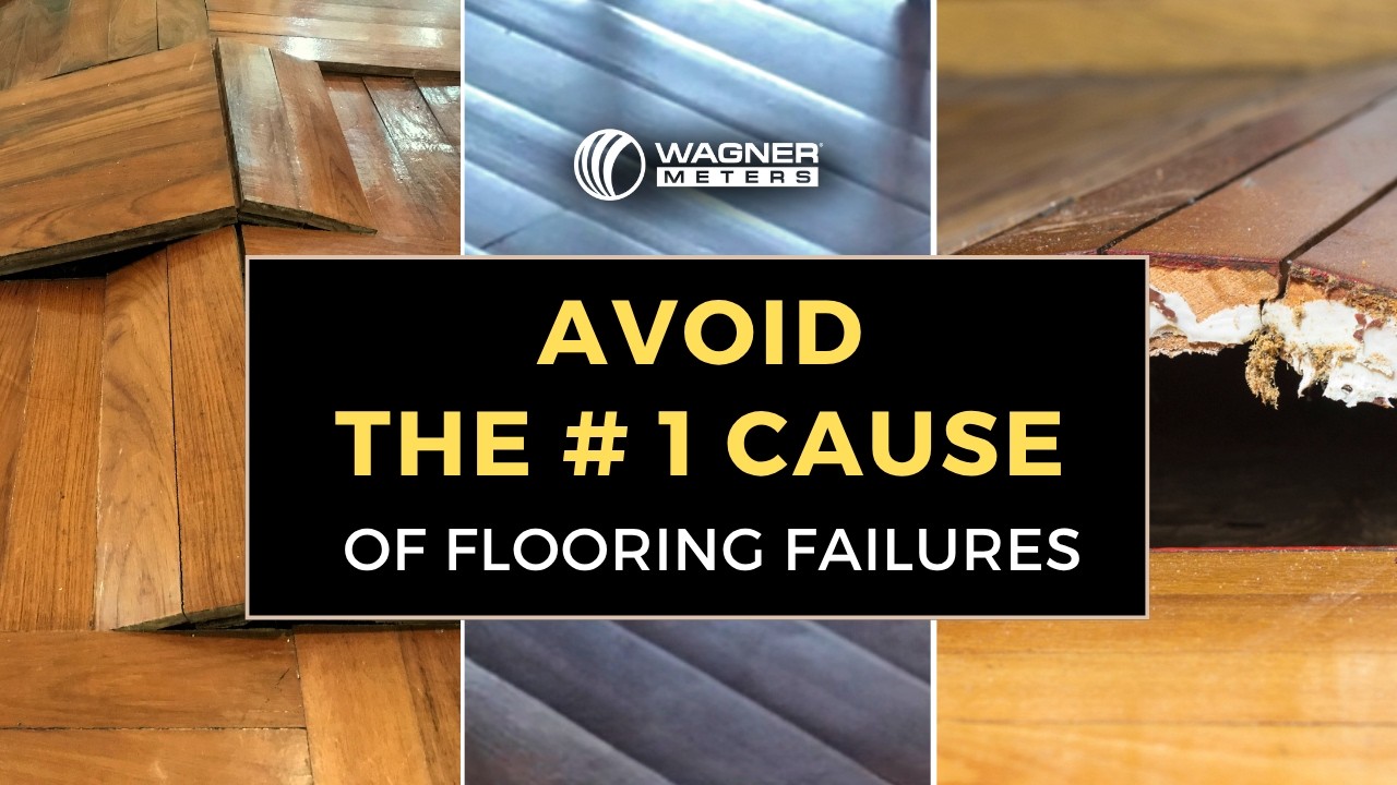 Trusted Moisture Solutions for Flooring Pros