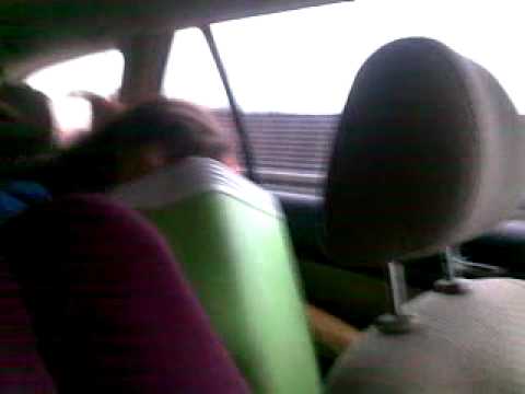 przygodo witaj holandia