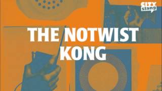 The Notwist - Kong (Video Coming Soon)