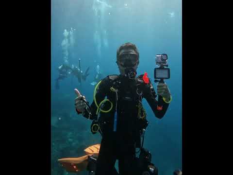 komodo trip 8/2023 with jakarta ocean dive and mola mola phinisi