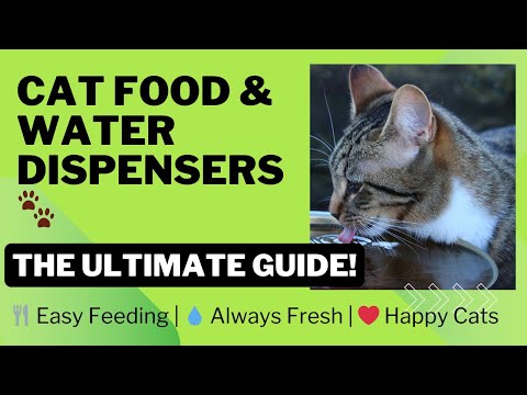 The Ultimate Guide to Cat Food and Water Dispensers#CatFood #WaterDispenser #PetWellness