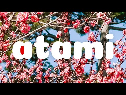 day trip to atami 🌸 🏖️ winter cherry blossoms, coastal hot spring town 🇯🇵