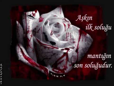 Traumpaar - du bist die frau meines lebens