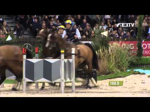 FEI World Cup Driving 2012/13 Geneva - Tomas Eriksson 2nd Place