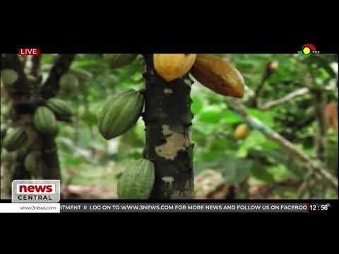 LIVE: News Central || 25-09-2026