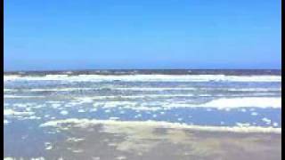 Ben Harper &amp; Jack Johnson - High Tide Or Low Tide