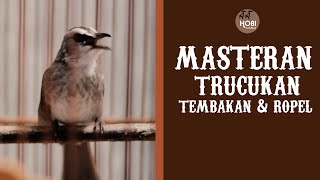 Download lagu MASTERAN  Trucukan Tembakan dan Ropel mp3 Download lagu MASTERAN  Trucukan Tembakan dan Ropel mp3