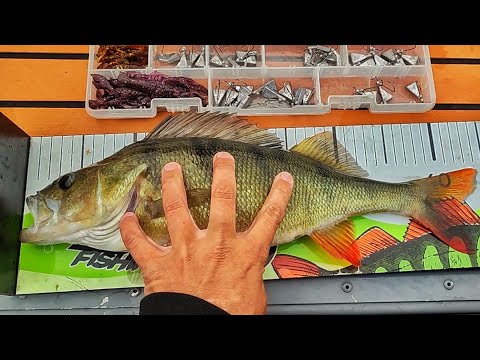 +1KG AHVEN EKALLA HEITOLLA | NÄIN KALASTAT RAPUJIGILLÄ