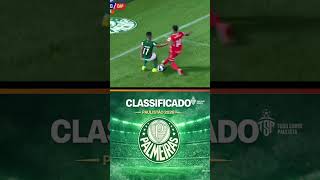 PALMEIRAS ATROPELA CAPIVARIANO E SE JUNTA AO SAO PAULO COMO OS PRIMEIROS CLASSIFICADOS AS SEMIS