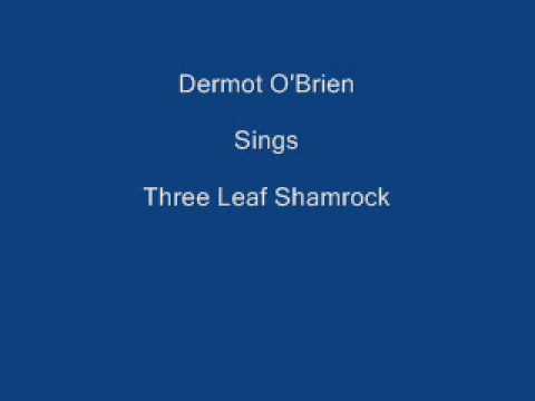 Three Leaf Shamrock ----- Dermot O'Brien + Lyrics Underneath