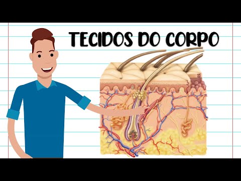 TECIDOS DO CORPO HUMANO - RESUMO